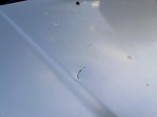 シビック SiR 5速載せ替え当社製作 当社にて整備後お渡し 修復歴無 ワンオーナー 当時物ホンダ純正シートカバー 純正ハーフシートカバー 前オーナー様記録簿有(20枚目)