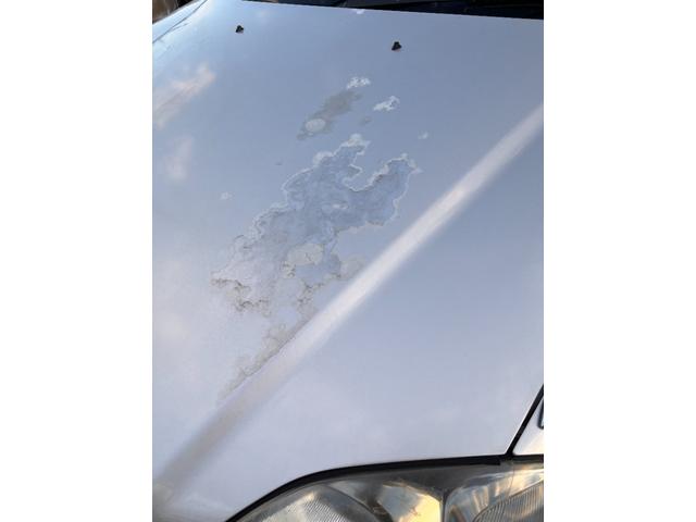 シビック SiR 5速載せ替え当社製作 当社にて整備後お渡し 修復歴無 ワンオーナー 当時物ホンダ純正シートカバー 純正ハーフシートカバー 前オーナー様記録簿有(21枚目)