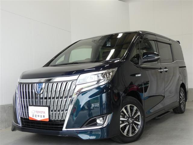 エスクァイア ハイブリッドGi プレミアムパッケージ 地上デジタル 衝突被害軽減 LEDライト 1オナ Bカメラ クルコン スマートキー メモリナビ ナビ&TV キーレス ドラレコ 盗難防止装置 DVD再生 ABS 3列シート ETC アルミ 両自動ドア(31枚目)