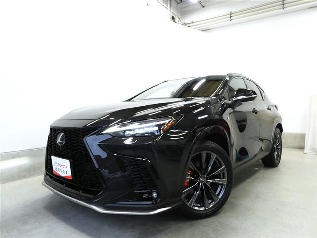 ＮＸ ＮＸ３５０　Ｆスポーツ　本革　パノラマＳＲ　地デジ　バックモニター　キーレスエントリー　記録簿　エアコン　ＡＷＤ　スマートキー　ナビＴＶ　ＬＥＤヘッドランプ　クルコン　メモリーナビ　衝突被害軽減ブレーキ　パワーシート　ＥＴＣ（32枚目）