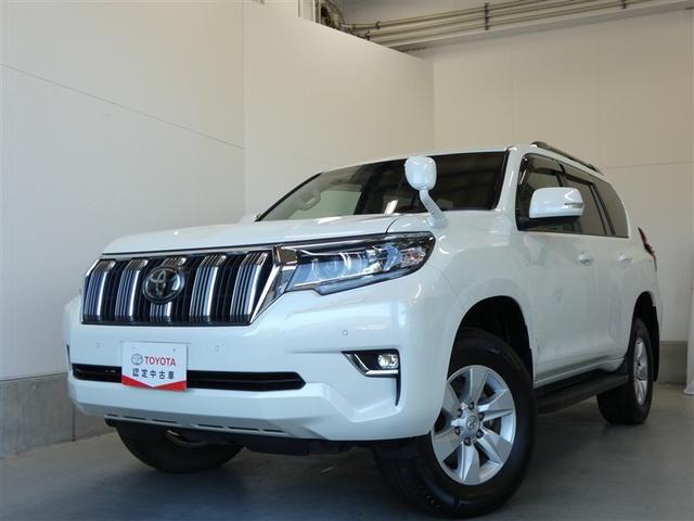 ランドクルーザープラド ＴＸ　ＬＥＤランプ　リアカメラ　ＡＢＳ付き　盗難防止装置　アルミホイール　オートクルーズコントロール　３列　ワンオナ　メモリーナビ　キーレス　サイドエアバッグ　ナビＴＶ　ダブルエアバッグ　ＥＴＣ装備（25枚目）