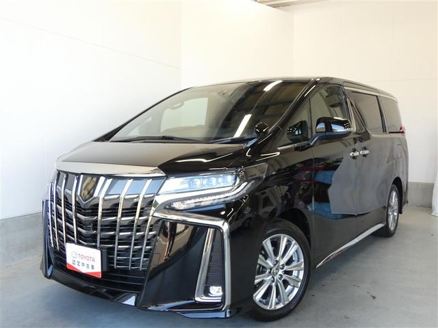 アルファード 2.5S タイプゴールド イモビ バックモニタ- LEDランプ 1オーナー車 リアオートエアコン 点検記録簿 エアコン 横滑防止装置 AC100V電源 アルミ パワーウィンドウ メディアプレイヤー接続 ABS キーレス(27枚目)