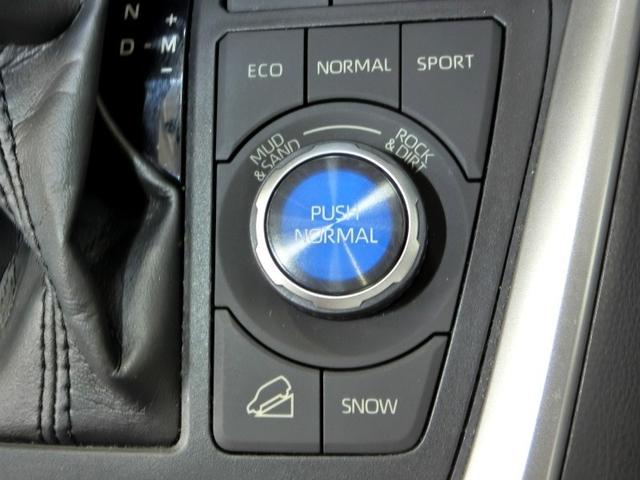 ＲＡＶ４ アドベンチャー　ワンオーナー　寒冷地　４ＷＤ　電動シート　安全装備　衝突被害軽減システム　横滑り防止機能　ＡＢＳ　エアバッグ　オートクルーズコントロール　盗難防止装置　バックカメラ　ＥＴＣ　ドラレコ　ＣＤ　キーレス（12枚目）