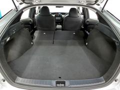 ꥢȤݤ礭ʲʪܤޤ 7