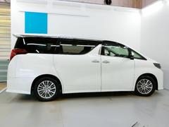 �ܥǡ����顼�ϥۥ磻�ȥѡ��륯�ꥹ���륷�㥤��Ǥ��� 3