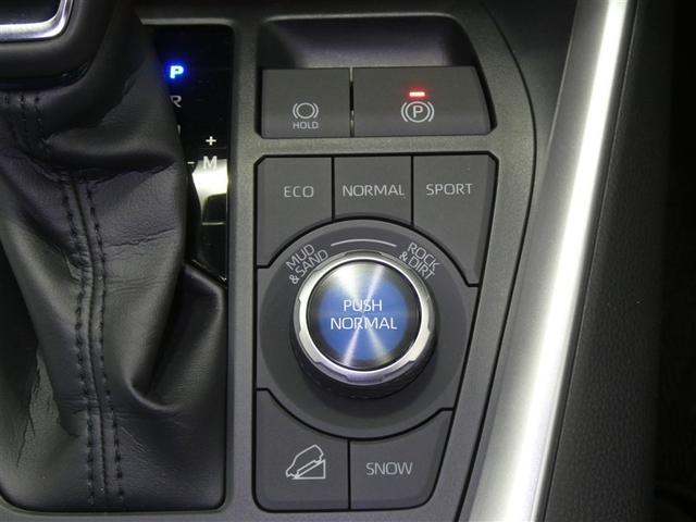 ＲＡＶ４ アドベンチャー　４ＷＤ　ミュージックプレイヤー接続可　バックカメラ　衝突被害軽減システム　ＥＴＣ　ドラレコ　ＬＥＤヘッドランプ（10枚目）