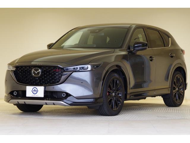 ＣＸ－５ ２５Ｓ　スポーツアピアランス　ダウンサスペンション　衝突被害軽減ブレーキ　フロントリアパーキングセンサー　ブラインドスポットモニタリング　電動リフトゲート　パワーシート　シートヒーター　ステアリングヒーター　３６０°ビューモニター（22枚目）