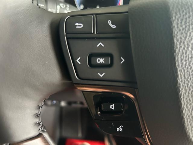 アルファード Ｚ　登録済未使用車　ムーンルーフ　ユニバーサルステップ　純正ナビゲーションシステム＆アラウンドビューモニター　ＥＴＣ（15枚目）