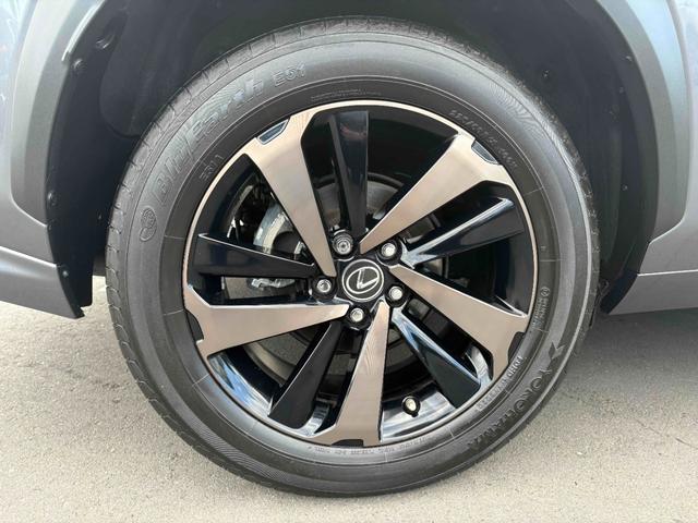 �O���A�����A�@�֗ǍD�A�I�X�X���̂P��ł��I�I���񂲗��X���҂����Ă���܂����c