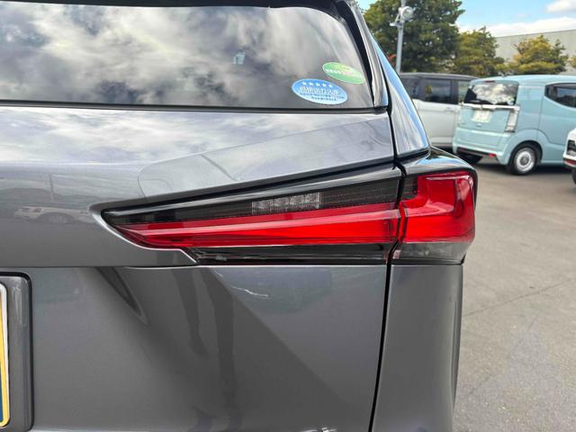 �J�̓����������ł������������܂����c