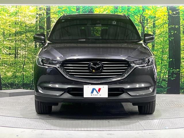 ＣＸ－８ ＸＤ　Ｌパッケージ　禁煙車　フリップダウンモニター　衝突軽減装置　ブラインドスポットモニタリング　レーダークルーズ　マツダコネクトナビ　バックカメラ　パワーバックドア　パワーシート　シートヒーター　ステアリングヒーター（15枚目）