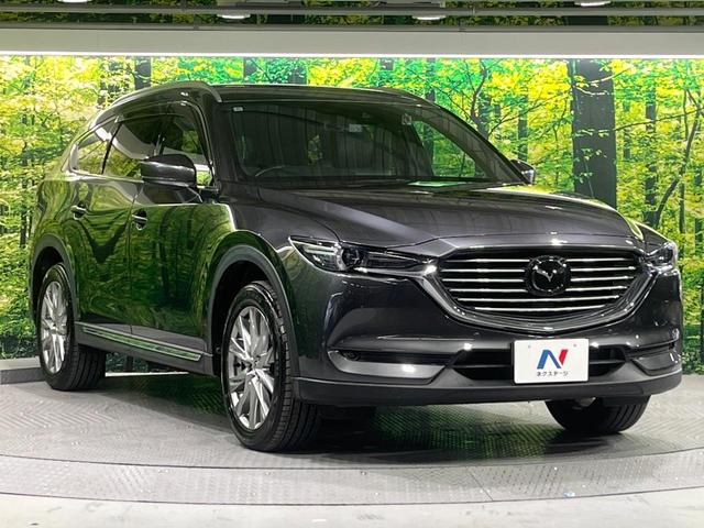 ＣＸ－８ ＸＤ　Ｌパッケージ　禁煙車　フリップダウンモニター　衝突軽減装置　ブラインドスポットモニタリング　レーダークルーズ　マツダコネクトナビ　バックカメラ　パワーバックドア　パワーシート　シートヒーター　ステアリングヒーター（17枚目）