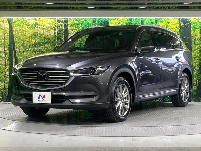 ＣＸ－８ ＸＤ　Ｌパッケージ　禁煙車　フリップダウンモニター　衝突軽減装置　ブラインドスポットモニタリング　レーダークルーズ　マツダコネクトナビ　バックカメラ　パワーバックドア　パワーシート　シートヒーター　ステアリングヒーター（22枚目）