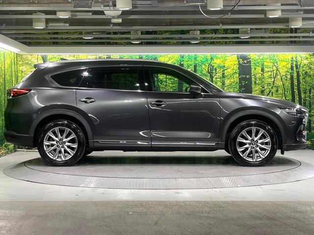 ＣＸ－８ ＸＤ　Ｌパッケージ　禁煙車　フリップダウンモニター　衝突軽減装置　ブラインドスポットモニタリング　レーダークルーズ　マツダコネクトナビ　バックカメラ　パワーバックドア　パワーシート　シートヒーター　ステアリングヒーター（24枚目）