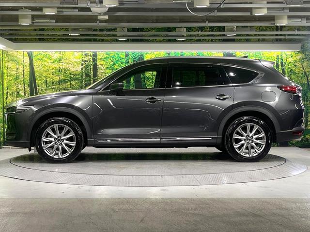 ＣＸ－８ ＸＤ　Ｌパッケージ　禁煙車　フリップダウンモニター　衝突軽減装置　ブラインドスポットモニタリング　レーダークルーズ　マツダコネクトナビ　バックカメラ　パワーバックドア　パワーシート　シートヒーター　ステアリングヒーター（25枚目）