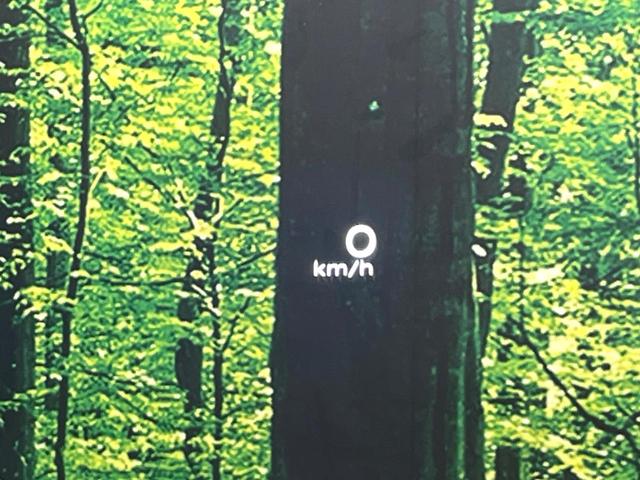 エクストレイル Ｇ　ｅ－４ＯＲＣＥ　４ＷＤ　１２．３型ナビ　全周囲カメラ　衝突被害軽減システム　レーダークルーズ　電動リアゲート　レザーシート　ドラレコ　スマートキー　ＬＥＤヘッド　ビルトインＥＴＣ　オートライト　デュアルエアコン（21枚目）