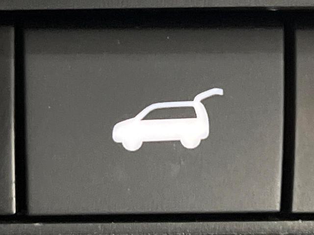 エクストレイル Ｇ　ｅ－４ＯＲＣＥ　４ＷＤ　１２．３型ナビ　全周囲カメラ　衝突被害軽減システム　レーダークルーズ　電動リアゲート　レザーシート　ドラレコ　スマートキー　ＬＥＤヘッド　ビルトインＥＴＣ　オートライト　デュアルエアコン（29枚目）