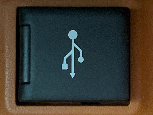 ＲＡＶ４ アドベンチャー　禁煙車　サンルーフ　セーフティセンス　純正８型ディスプレイ　全周囲カメラ　レーダークルーズ　電動リアゲート　ブラインドスポットモニター　シートベンチレーション　合皮シート　パワーシート　ＥＴＣ（36枚目）