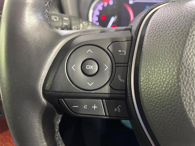 ＲＡＶ４ アドベンチャー　禁煙車　サンルーフ　セーフティセンス　純正８型ディスプレイ　全周囲カメラ　レーダークルーズ　電動リアゲート　ブラインドスポットモニター　シートベンチレーション　合皮シート　パワーシート　ＥＴＣ（38枚目）