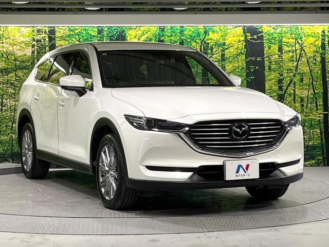 ＣＸ－８ ＸＤプロアクティブ　禁煙車　フリップダウンモニター　衝突軽減装置　マツダコネクト　３６０°ビューモニター　レーダークルーズ　シートヒーター　メモリーシート　ステアリングヒーター　リアオートエアコン　ＥＴＣ　ドラレコ（17枚目）