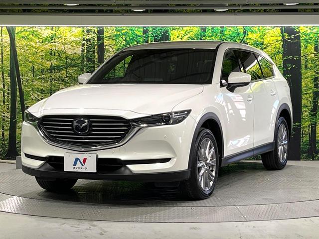 ＣＸ－８ ＸＤプロアクティブ　禁煙車　フリップダウンモニター　衝突軽減装置　マツダコネクト　３６０°ビューモニター　レーダークルーズ　シートヒーター　メモリーシート　ステアリングヒーター　リアオートエアコン　ＥＴＣ　ドラレコ（52枚目）