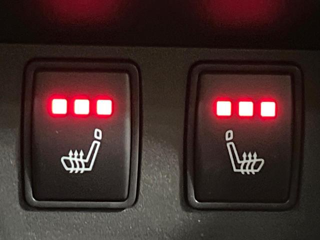 エクストレイル Ｇ　ｅ－４ＯＲＣＥ　４ＷＤ　プロパイロット　禁煙車　エマージェンシーブレーキ　純正１２．３型ナビ　アラウンドビューモニター　パワーバックドア　全席シートヒーター　メモリーシート　リアオートエアコン　ＨＵＤ（33枚目）