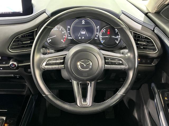 �y�}�c�_�E���[�_�[�N���[�Y�R���g���[���z�������H�ł̒��������s���y�ɁI�����ő��x��ۂN���[�Y�R���g���[�����A�Փˌy���V�X�e���ƘA�g���A�O���̎ԗ������m���ĎԊԂ�ۂ悤�ɑ��x���߂��Ă���܂��I�I