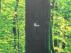 ãءݣ أġ̥ѥåر֡ͷڸ֡ޥĥͥ 0600536A20251127Q006 7