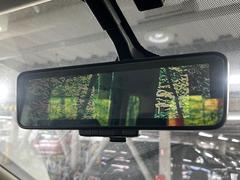 �ڥ���ƥꥸ����ȥ롼��ߥ顼�۸��ʤ��礭�ʲ�ʪ��Ʊ��ԤǸ�������ǧ���Ť餤���Ǥ�¿�������餬���Ƥ�����ξ�����α�����롼��ߥ顼���ɽ�������ꥢ�ʻ볦�Ǿ����γ�ǧ����ǽ�Ǥ��� 7