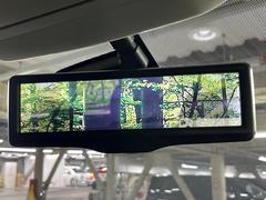 �ڥ���ƥꥸ����ȥ롼��ߥ顼�۸��ʤ��礭�ʲ�ʪ��Ʊ��ԤǸ�������ǧ���Ť餤���Ǥ�¿�������餬���Ƥ�����ξ�����α�����롼��ߥ顼���ɽ�������ꥢ�ʻ볦�Ǿ����γ�ǧ����ǽ�Ǥ��� 6