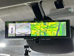 �ڥ���ƥꥸ����ȥ롼��ߥ顼�۸��ʤ��礭�ʲ�ʪ��Ʊ��ԤǸ�������ǧ���Ť餤���Ǥ�¿�������餬���Ƥ�����ξ�����α�����롼��ߥ顼���ɽ�������ꥢ�ʻ볦�Ǿ����γ�ǧ����ǽ�Ǥ��� 4