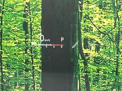 �ڥ��顼�إåɥ��åץǥ����ץ쥤�۸��ߤ�®�٤����Ծ����ǥ�����ɽ���Ǳ�ž�������Υ��饹����ơ����顼�դ��ǻ�ǧ����⤯����ž�������򤺤餵��ɬ�פʾ�����ǧ�Ǥ���ΤǤȤäƤ������ǰ¿��� 7