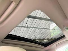 ���롼�����߸˿��󣳣����������桪������η���Ź����᡼�������ּ���鷺���Ҳ�����Τǡ����ʤ��˥ԥå���Τ��֤����Ĥ���Ϥ��Ǥ����ޤ��Ϥ��䤤��碌�������� 2