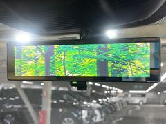 �ڥ���ƥꥸ����ȥ롼��ߥ顼�۸��ʤ��礭�ʲ�ʪ��Ʊ��ԤǸ�������ǧ���Ť餤���Ǥ�¿�������餬���Ƥ�����ξ�����α�����롼��ߥ顼���ɽ�������ꥢ�ʻ볦�Ǿ����γ�ǧ����ǽ�Ǥ��� 7