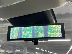 �ڥ���ƥꥸ����ȥ롼��ߥ顼�۸��ʤ��礭�ʲ�ʪ��Ʊ��ԤǸ�������ǧ���Ť餤���Ǥ�¿�������餬���Ƥ�����ξ�����α�����롼��ߥ顼���ɽ�������ꥢ�ʻ볦�Ǿ����γ�ǧ����ǽ�Ǥ��� 6