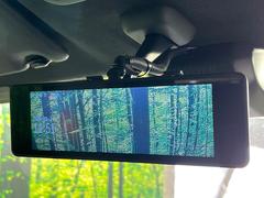 �ڥ��ɥХ󥹥ɥ롼��ߥ顼�۸��ʤ��礭�ʲ�ʪ��Ʊ��ԤǸ�������ǧ���Ť餤���Ǥ�¿�������餬���Ƥ�����ξ�����α�����롼��ߥ顼���ɽ�������ꥢ�ʻ볦�Ǿ����γ�ǧ����ǽ�Ǥ��� 6