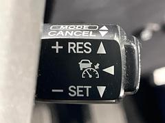 �ڥ졼�������롼������ȥ�����۹�®ƻϩ�Ǥ�Ĺ��Υ���Ԥ��ڤˡ�����ư��®�٤��ݤĥ��롼������ȥ����뤬�����ͷڸ������ƥ��Ϣ�Ȥ��������μ�ξ���Τ��Ƽִ֤��ݤĤ褦��®��Ĵ�ᤷ�Ƥ���ޤ����� 4