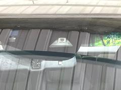 �ڥۥ�����󥷥󥰡�������������μ�ξ����ǧ���������ͤ������ʻ��Ϸ���ȥ֥졼���Ǿ��Ͳ�����ﳲ�ڸ��򥢥����ȡ��������˥ɥ饤�֤򤪳ڤ��ߤ��������ޤ��� 2