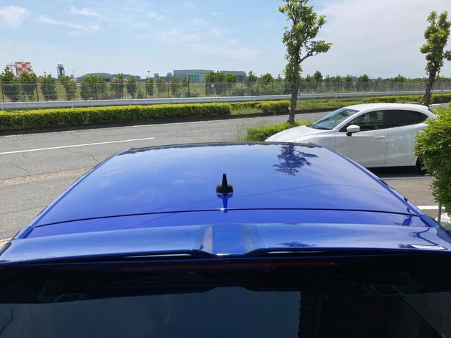 ゴルフＲ カーボンスタイル　冠水歴車ナビＢＴバックカメラＥＴＣカーボンスタイルナパレザーシート１００台限定車カーボンミラー専用レザーシート４ＷＤアダプティブクルコンプリクラッシュブレーキ衝突軽減ブレーキ１９インチアルミ（28枚目）