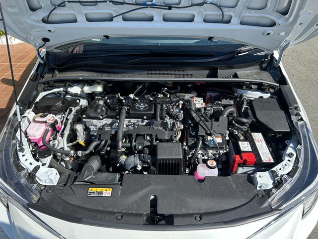 ���������̃I�[�g���[������p�ӂ������܂��B�x�����v�����������������܂��̂ł��q�l�̃��C�t�X�^�C���ɂ��킹�Ă��񋟂����Ē����܂��B���O�R��������܂��̂ŁA���C�y�ɂ��₢���킹�������I