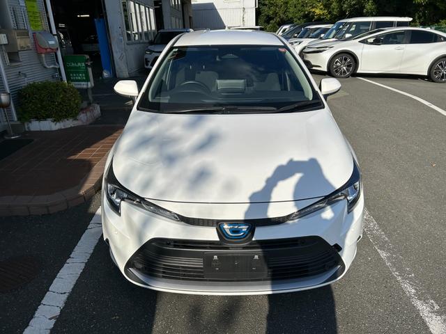 �����̔����劽�}�ł��B�����X��������q�l�ł��ׂ��ȕ����܂ł��`���o����悤���X���g��ł���܂����C���^�[�l�b�g�Ɍf�ڂ���Ă��Ȃ��ӏ��ł���]�̕��ʂ̎ʐ^���������܂����炨�C�y�ɂ��\���t����������