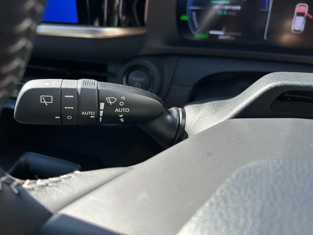 �������̑�؂Ȉ��Ԃ��A�o�q�n�r�o�d�d�c�ł͊撣���Ĕ�����肵�Ă���܂��I��؂ɏ���Ă���ꂽ����^�S���蒆������P�x���肳���Ă��������I�I�I