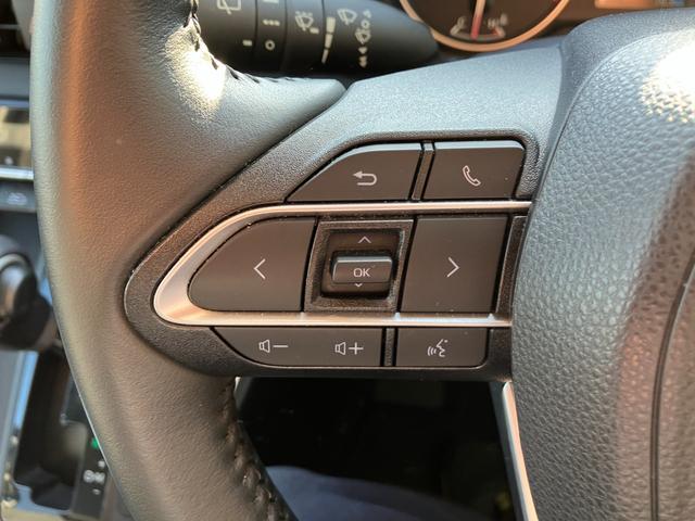 ノア Ｇ　冠水歴車４ＷＤナビバックカメラＢＴオーディオ対応ＥＴＣ２．０セーフティセンス衝突軽減ブレーキプリクラッシュセーフティーオートマチックハイビームスマートキーＰスタート禁煙レーダークルコン３列シート８名乗（55枚目）