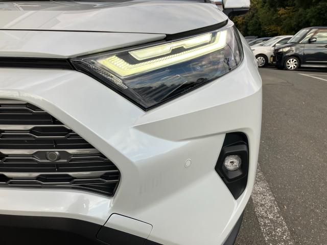 RAV4 ハイブリッドG 冠水歴車ナビTV全方位モニターETC2.0セーフティセンスプリクラッシュセーフティーレーダークルーズコントロール禁煙車ステアリングヒータースマートキーオートマチックハイビームハイブリッド車ドラレコ付(17枚目)