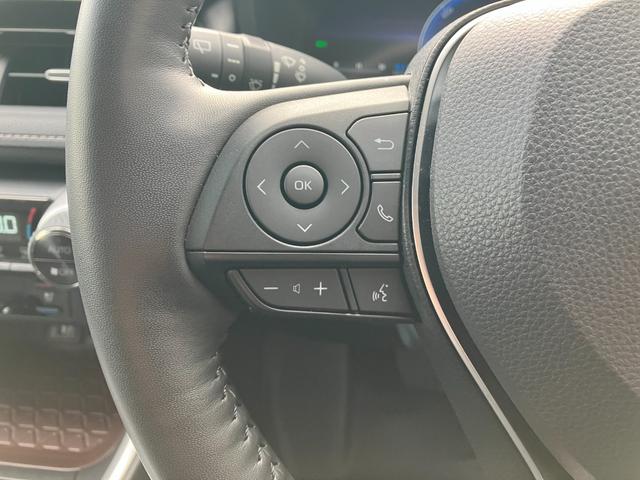RAV4 ハイブリッドG 冠水歴車ナビTV全方位モニターETC2.0セーフティセンスプリクラッシュセーフティーレーダークルーズコントロール禁煙車ステアリングヒータースマートキーオートマチックハイビームハイブリッド車ドラレコ付(66枚目)