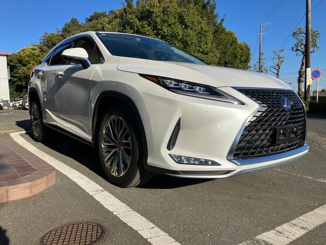 �������H�ł̂����X�A�N�Z�X�����������ԓ��A�l�����C���^�[�o���~��Ă����T���ł��I�������s���Ȏ��ɂ͂O�O�V�W�|�U�O�S�O�|�T�W�R�U�܂ł��A���������܂��B���X�܂ł̓��ē��������Ē����܂��B