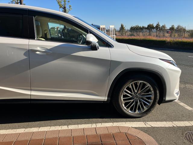 ���m���ɂ��Z�܂��̕���A�É����ɂ��Z�܂��̕��ȂǑ��������X���Ē����Ă���܂��B���ÎԂ����T���̕��͕l���s�ɂ���o�q�n�r�o�d�d�c�ł��҂����Ă���܂��I