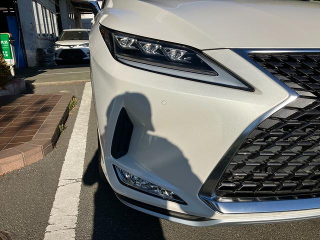 ����������̂��ƂȂǂ������܂�����A���ł������X���������I���J�E�e�؂����b�g�[�ɂ��q�l���؂ɒv���܂��I�I