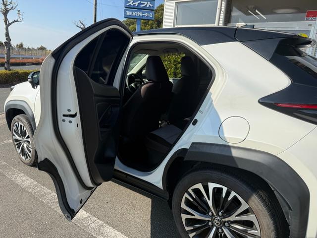 �X�^�b�h���X���̔̔����s���Ă���܂��􂨋C�y�ɃX�^�b�t�ɂ��q�˂��������I�I