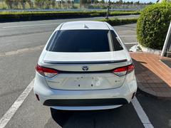 �������쵤�ˤʤäƤ������֤����Ƥ��ޤä�������������ʻ��Ǥ⤴�¿��������������򤪻Ǥ����Ƥ�ä��ɤ����֤������Ƥ��ޤ��� 6